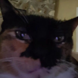 Meet your Posher, Orphan